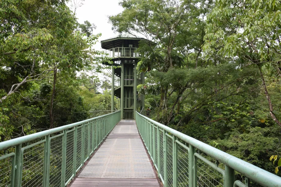 Rainforest Discover Center, Sepilok