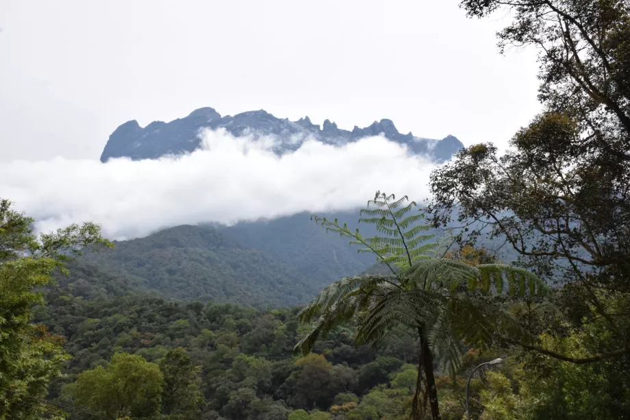 Mount Kinabalu, Sabah, Borneó