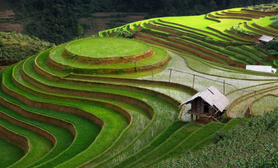 Banaue