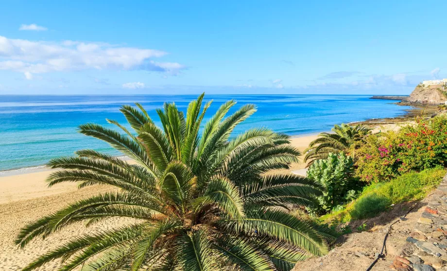 Fuerteventura