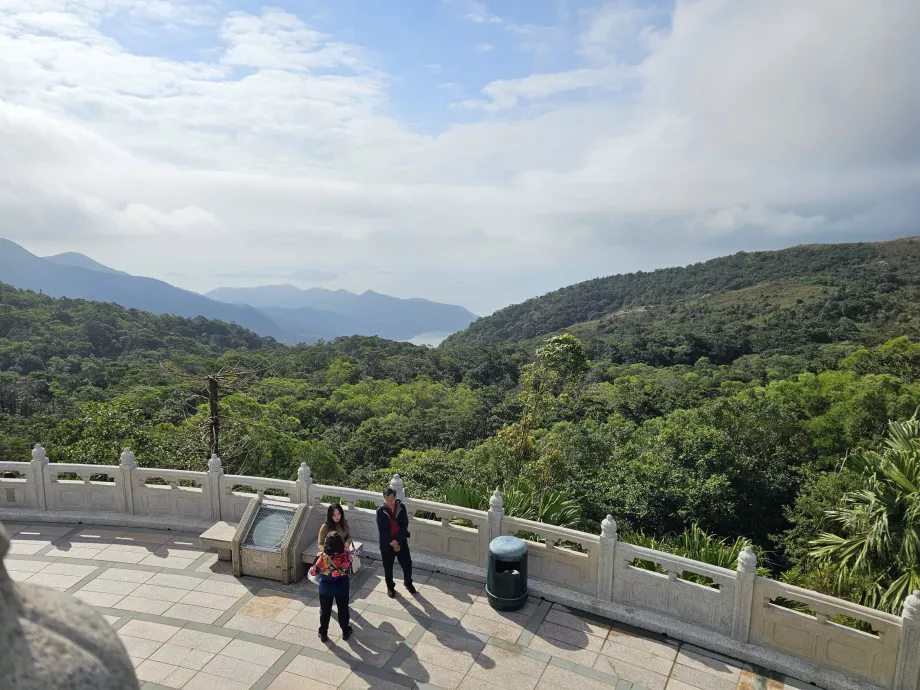 Kilátás a Lantau sziget erdeire