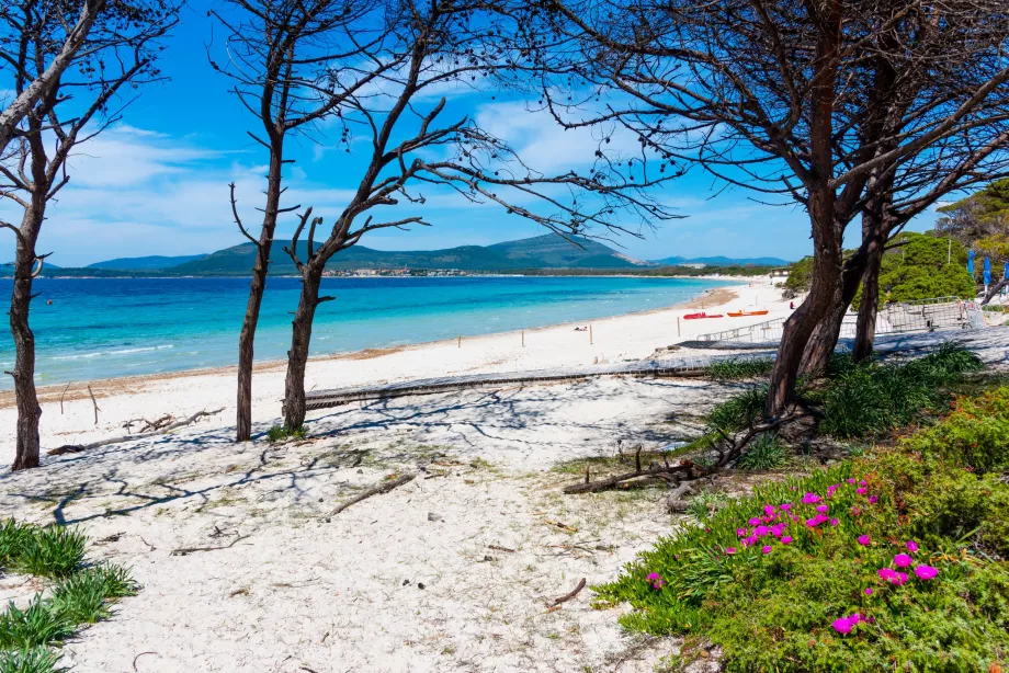 Beaches in Alghero