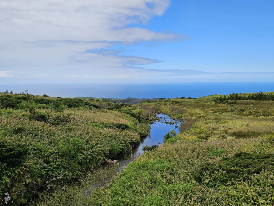 Flores-fennsík