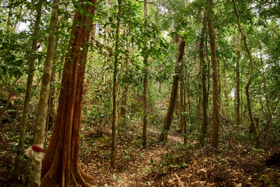 Nemzeti park, Phu Quoc, Vietnam