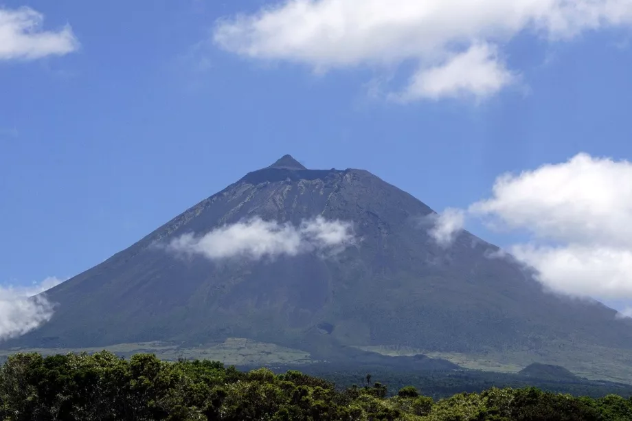 Pico kiemelkedő csúcsos tetejű Piquinho