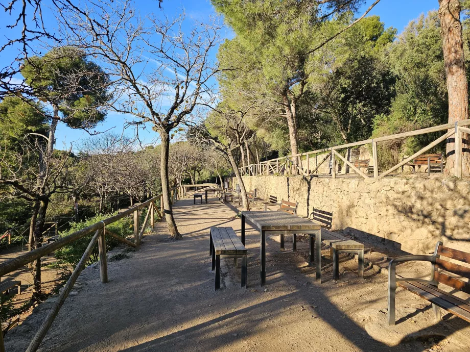 Güell park