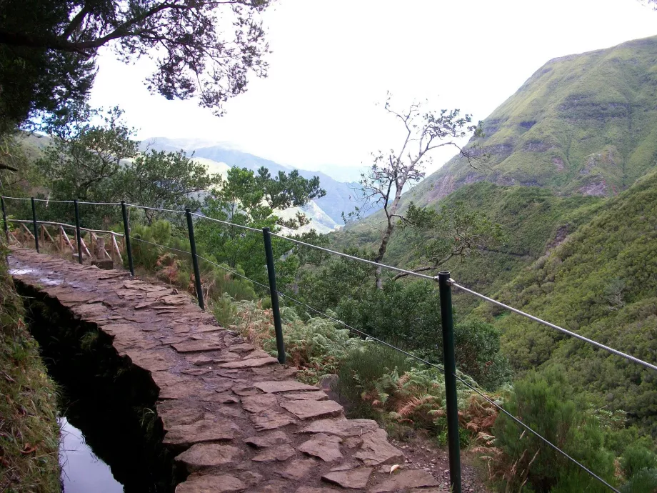 Levada nézetek