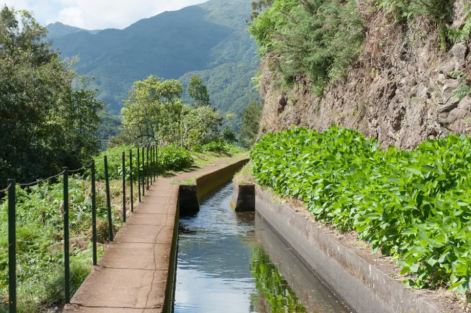 Levada Ribeira da Janela