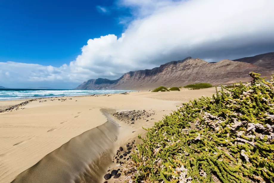 Famara strand