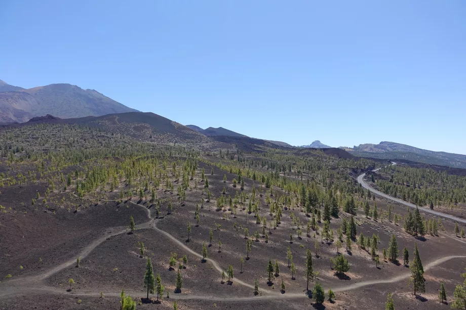 A Teide NP tájképe