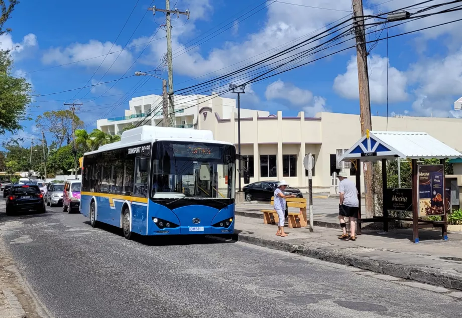 Busz Barbados