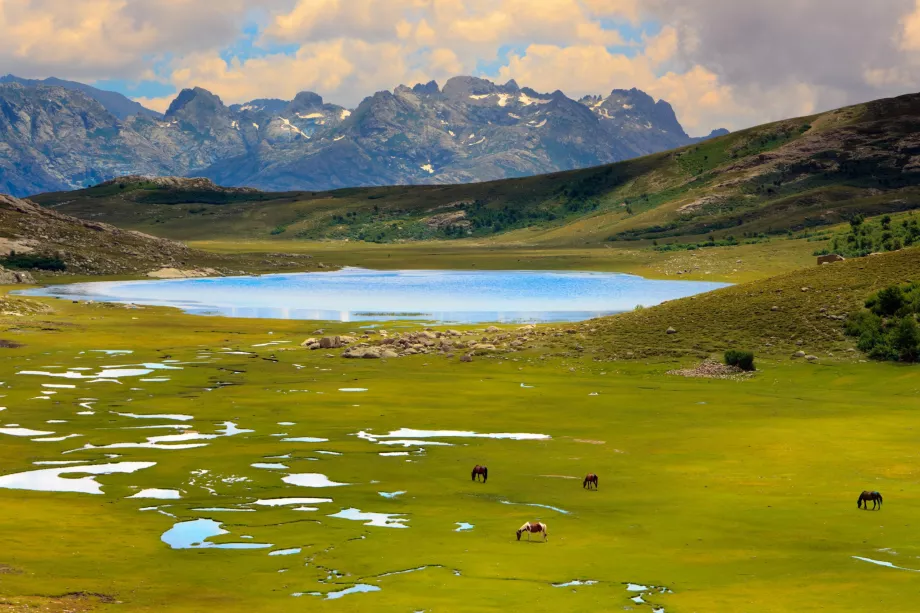 Lac de Nino