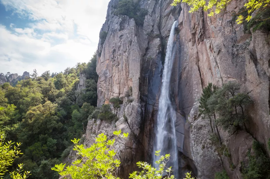 Piscia di Gallu