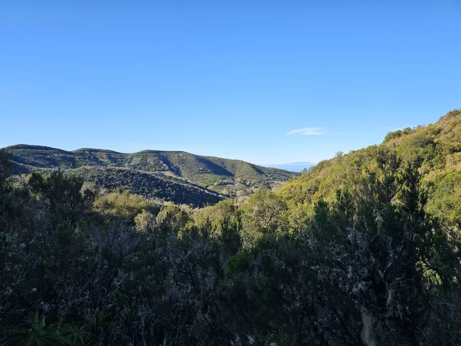 Tájkép Laguna Grande körül