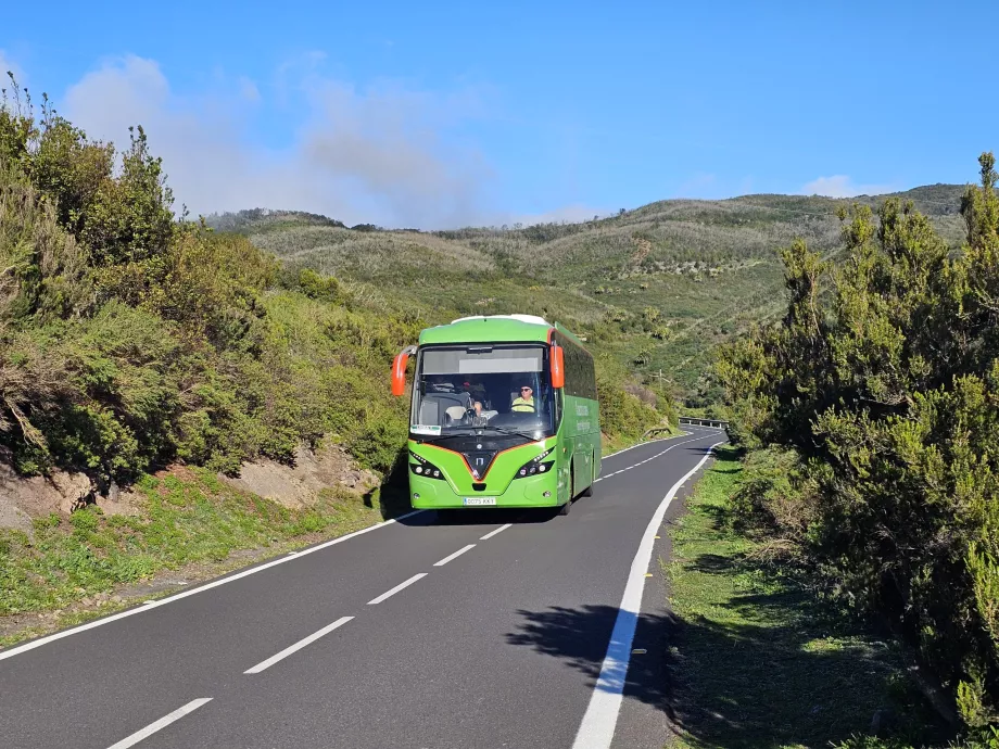 Buszok Gomera