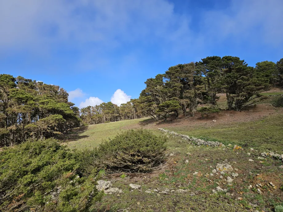 Nyugat El Hierro