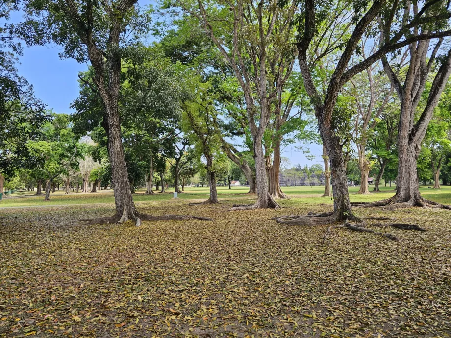 Prambanan park