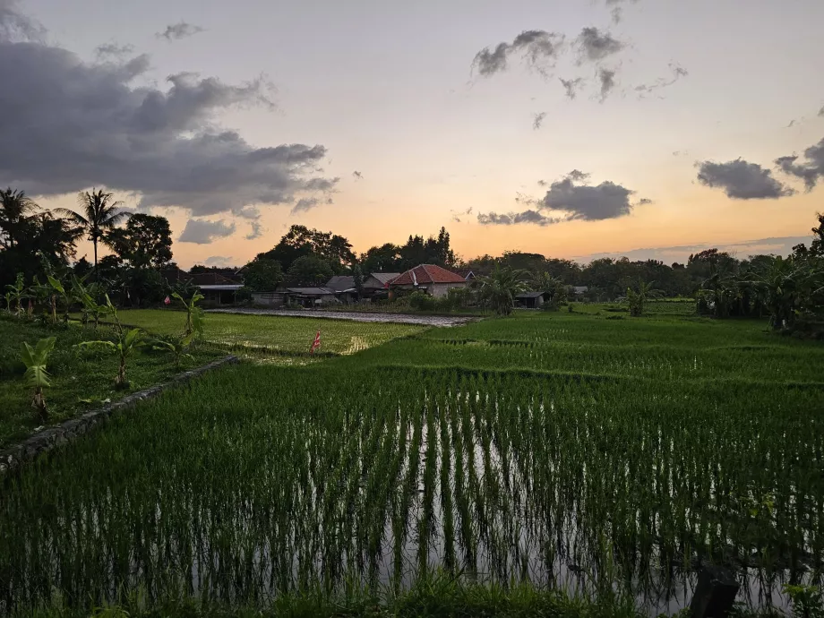 Az út Ratu Boko felé