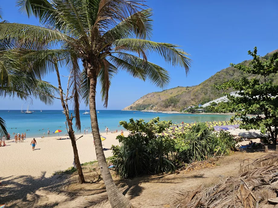 Nai Harn strand