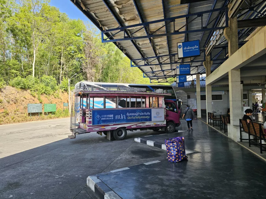 Rózsaszín busz a 2-es buszterminálnál