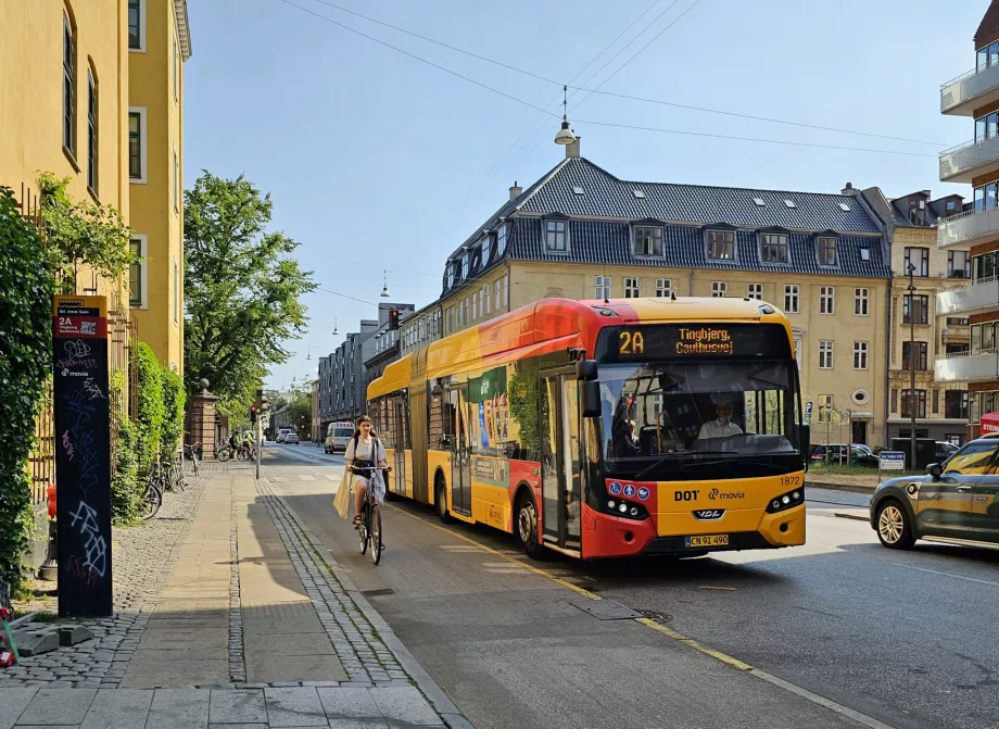 Tömegközlekedési busz Koppenhágában