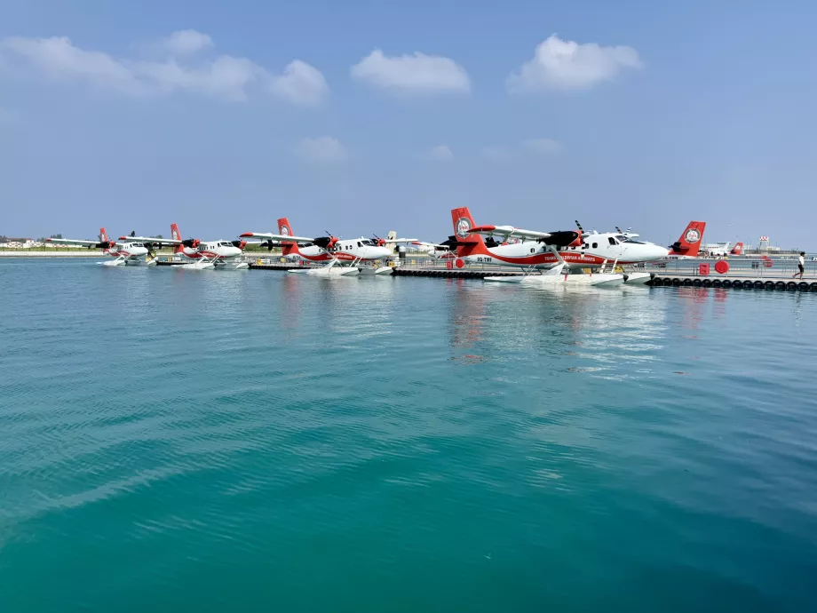 Trans Maldivian Airways vízirepülőgép-flotta