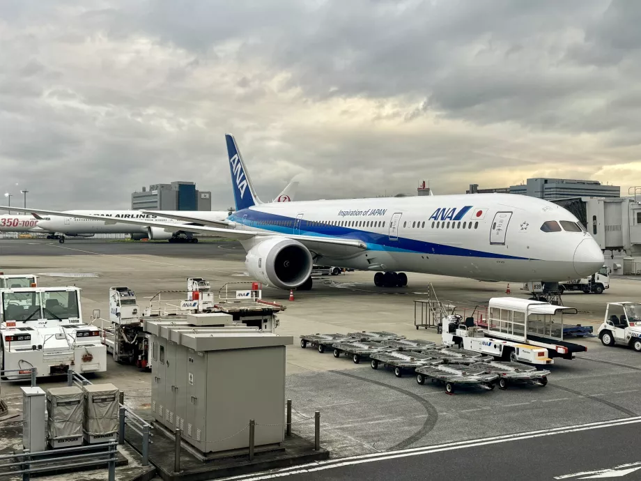 ANA Boeing 787