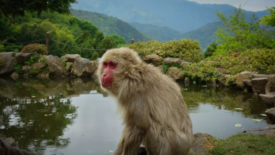 Arashiyama Majompark