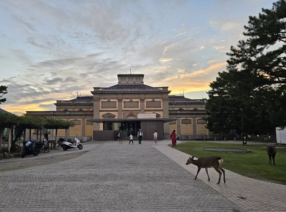 Nara Nemzeti Múzeum