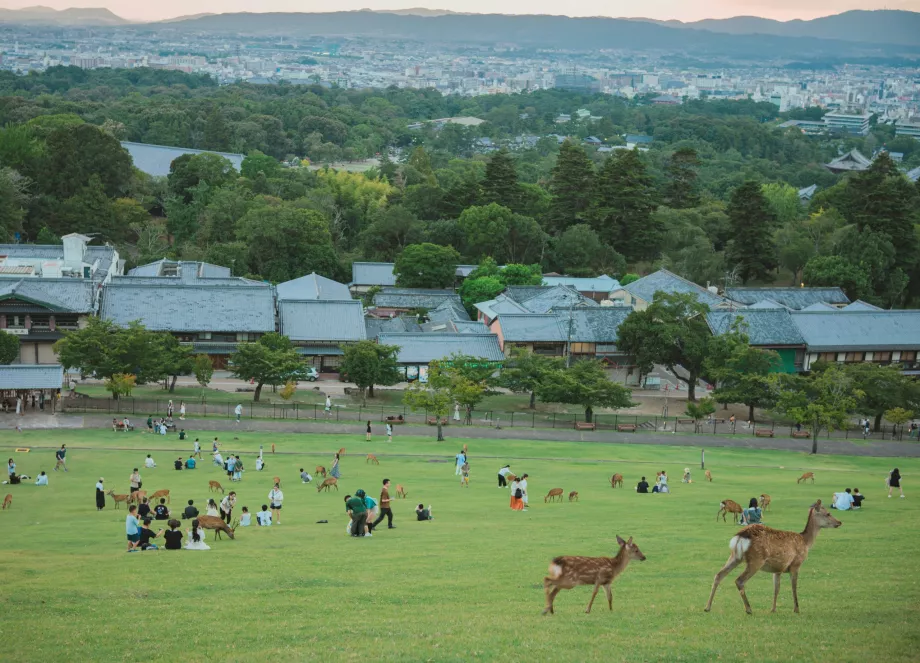 Kilátás a Nara Parkból