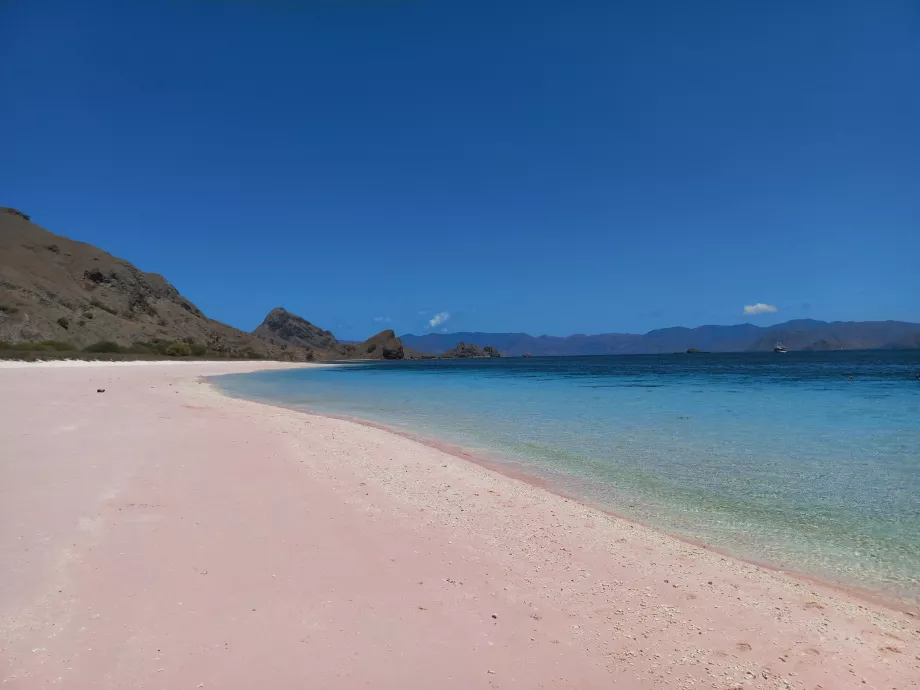 Rózsaszín strand, Komodo szigetek, Indonézia