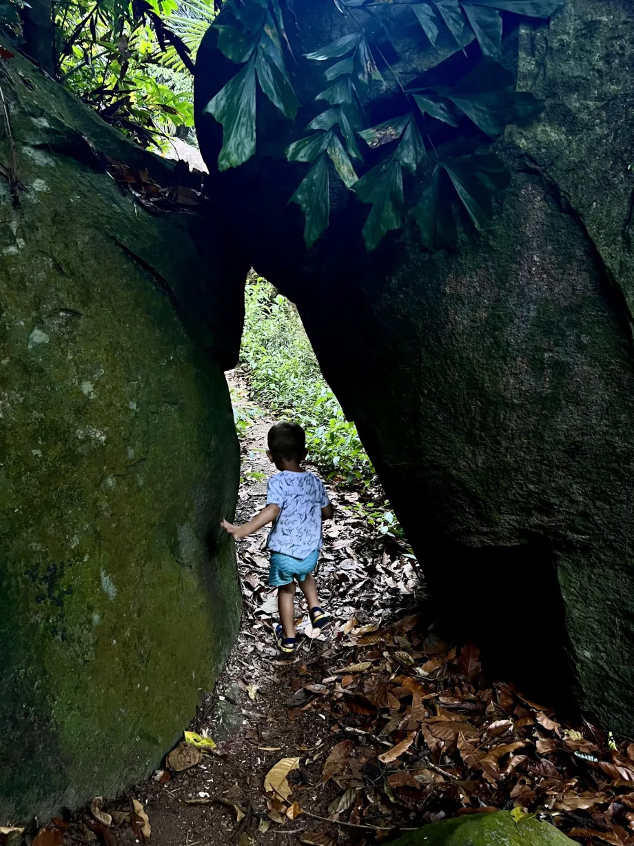 Paya-Genting túra, Tioman